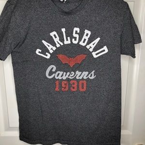 🌵Gray Carlsbad t-shirt size small